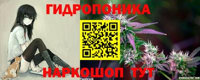 твердый Берёзовский