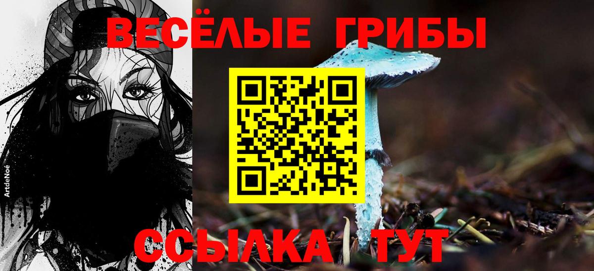 Гай  Галлюциногенные грибы Psilocybine cubensis  Галлюциногенные грибы Psilocybe  наркотики  Вход с VPN 
