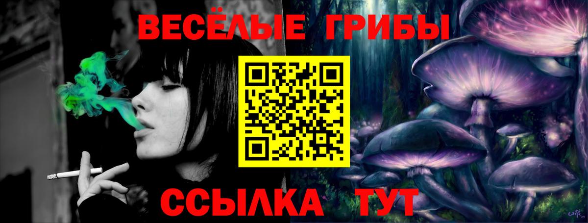 МЕТАДОН Гай