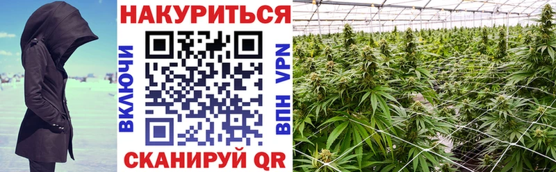 Каннабис SATIVA & INDICA  как найти закладки  Гай 
